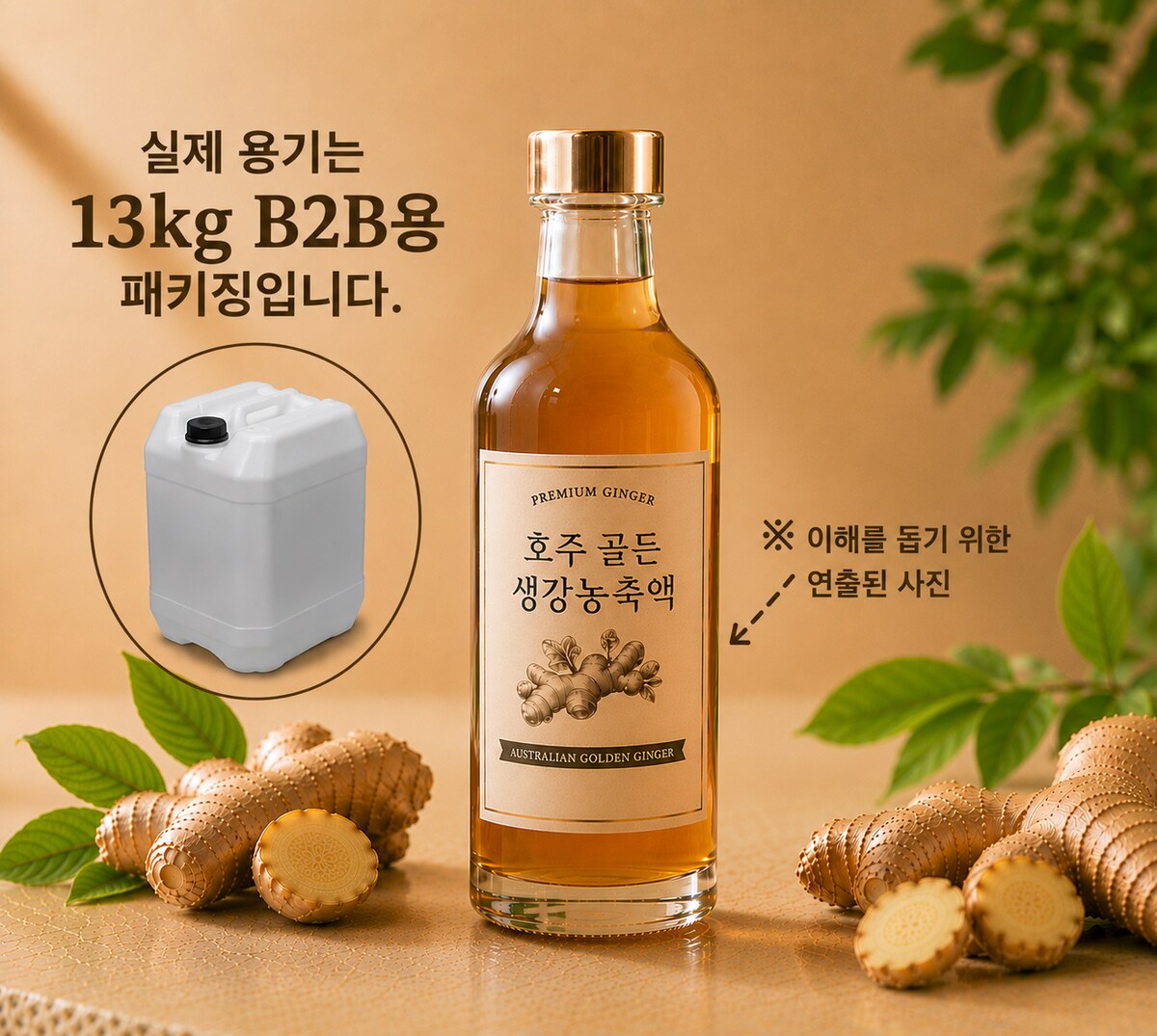 호주 골든생강농축액