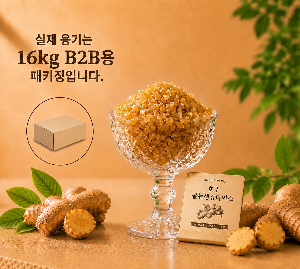 호주 골든생강다이스